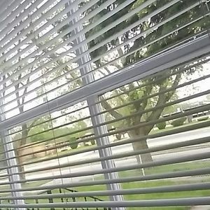 Meet your Posher, Shawnell