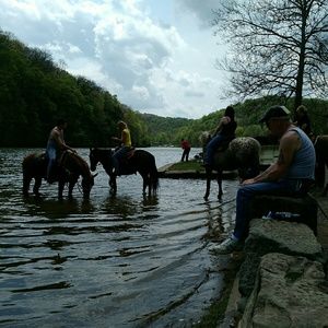 Meet your Posher, Roxanne