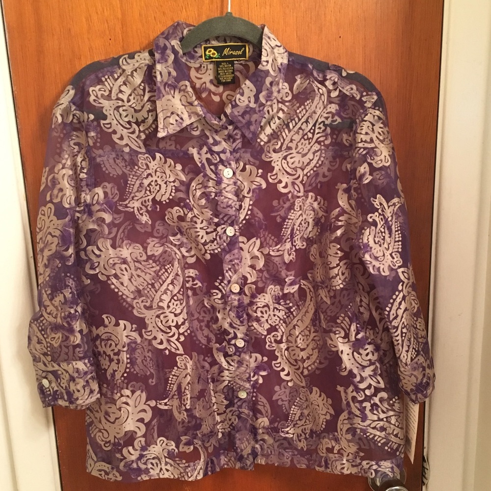 SALE!!! Mirasol sheer blouse✨