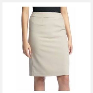 Anne Klein skirt