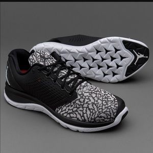 Nike Jordan Trainer ST