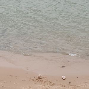 Meet your Posher, Dolores