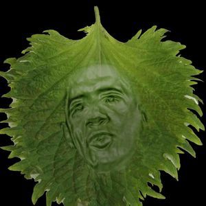 Meet your Posher, Zoubi