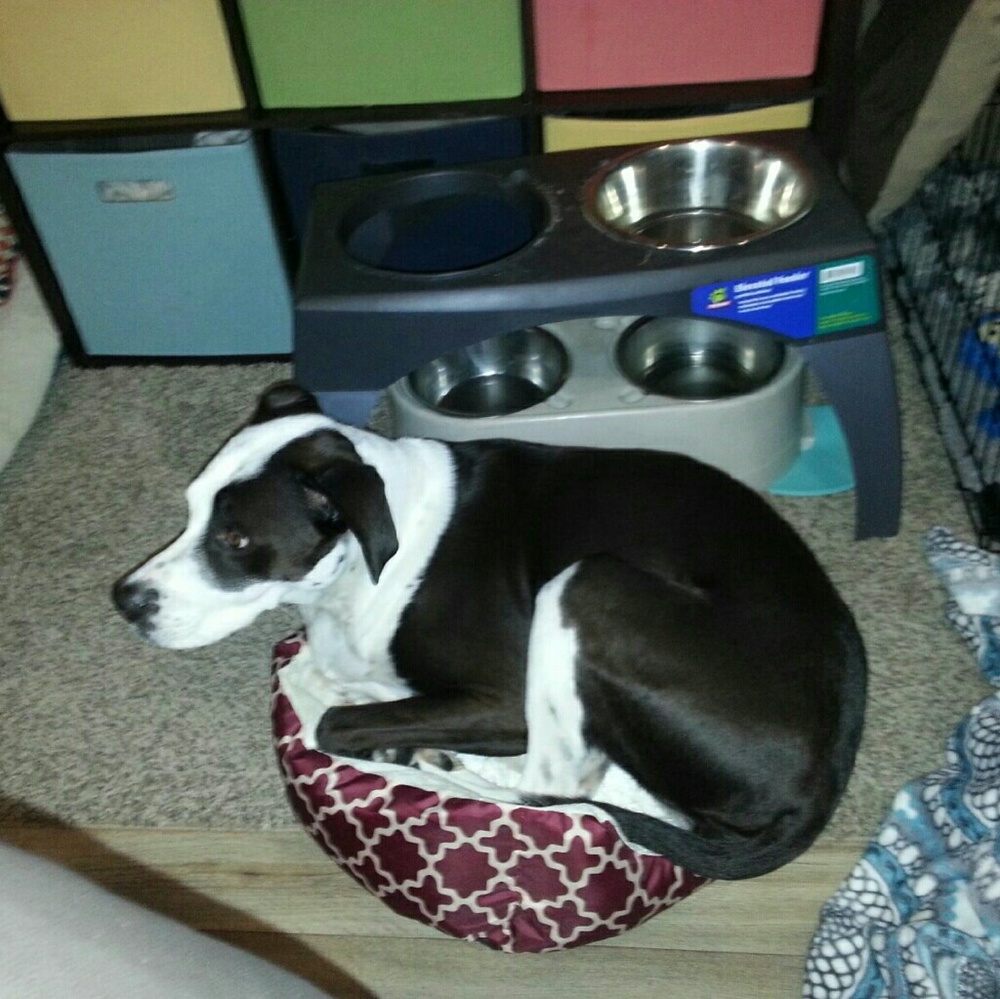 Meet your Posher, Brooke