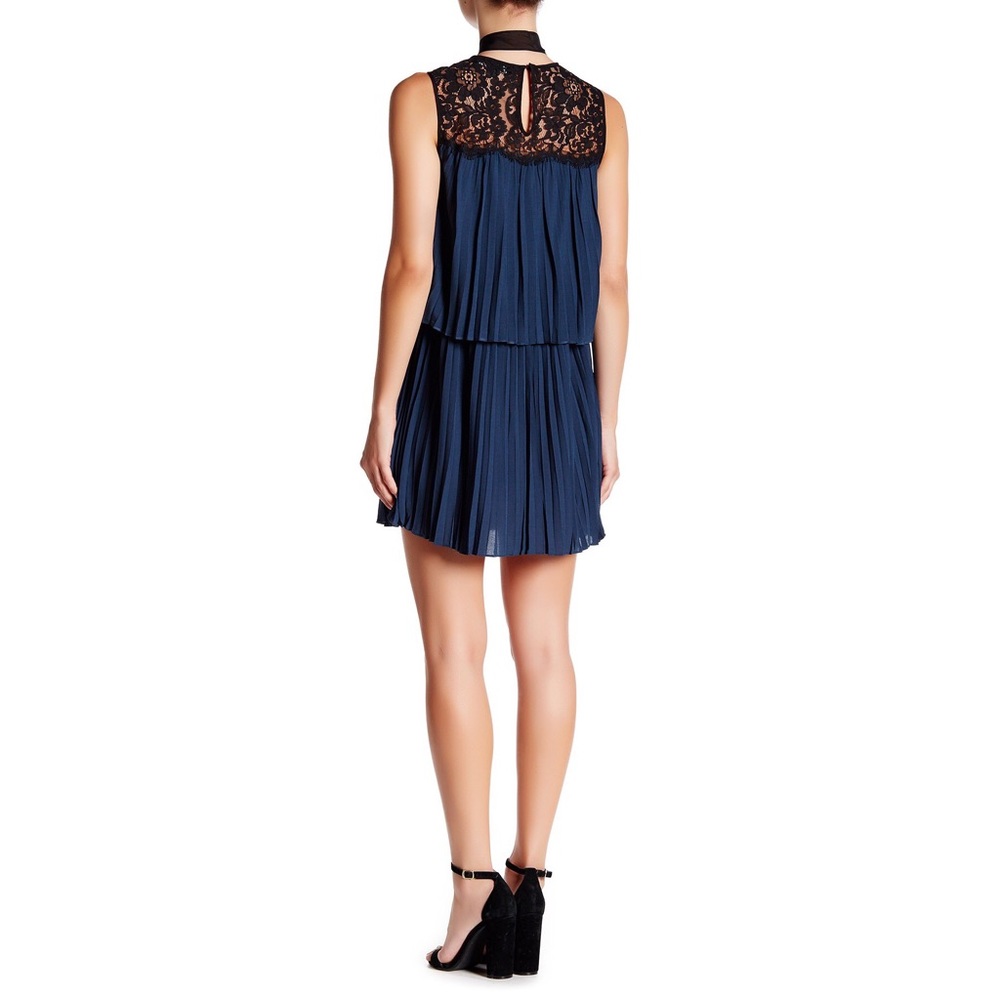 New Rachel Zoe Berenice Lace Pleated Voile Dress 2 - Picture 3 of 6