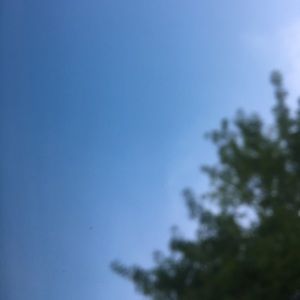 Meet your Posher, Ben