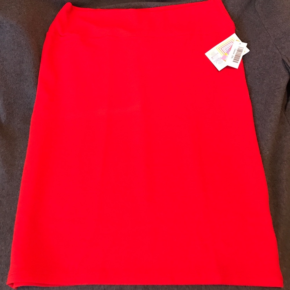LulaRoe 2X Cassie Skirt