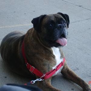 Meet your Posher, Lorrie