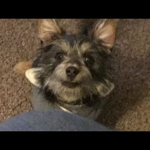 Meet your Posher, Me