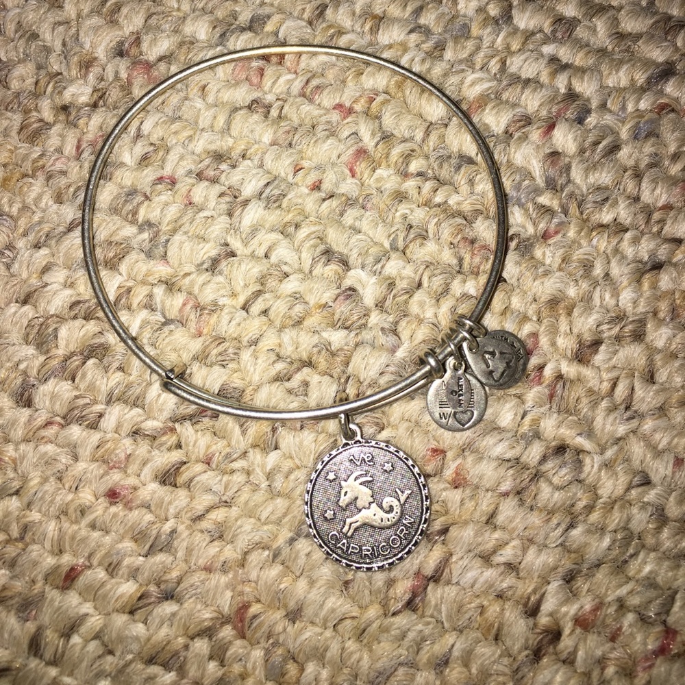 Alex & Ani Capricorn bracelet