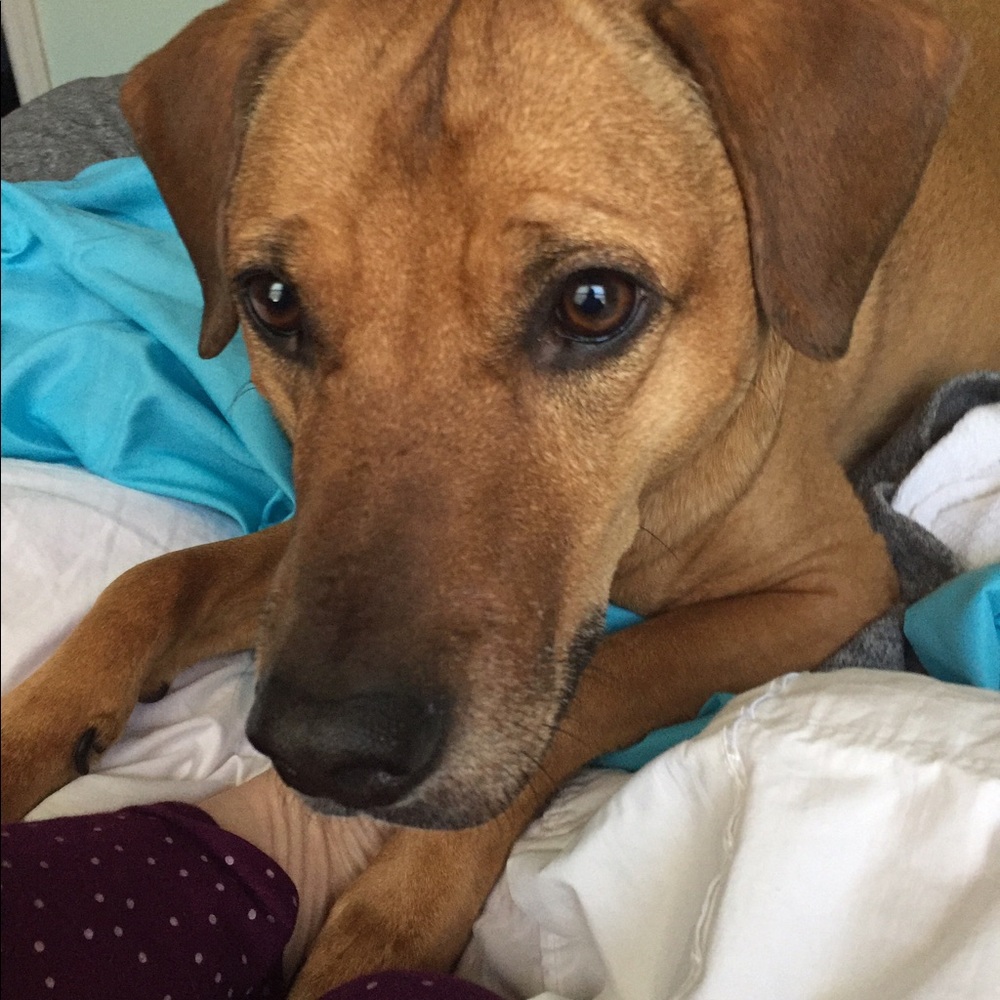 Meet your Posher, Kate