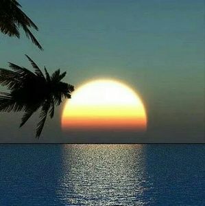 Meet your Posher, Sherry