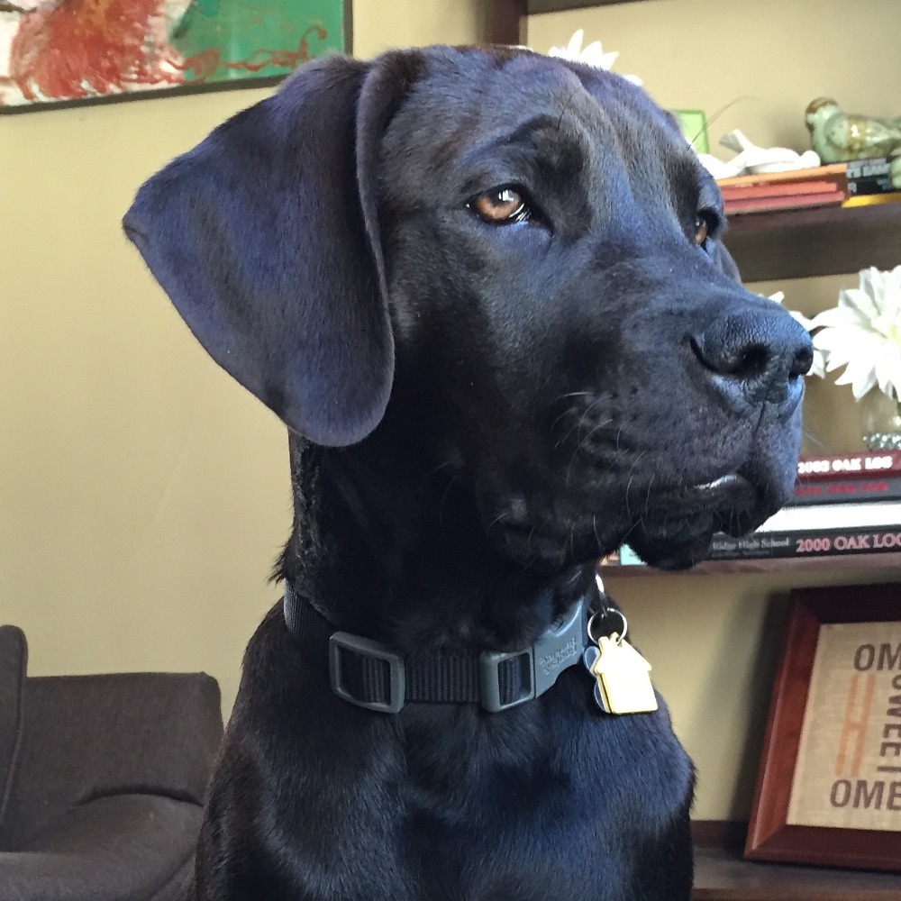 Meet your Posher, Jessica