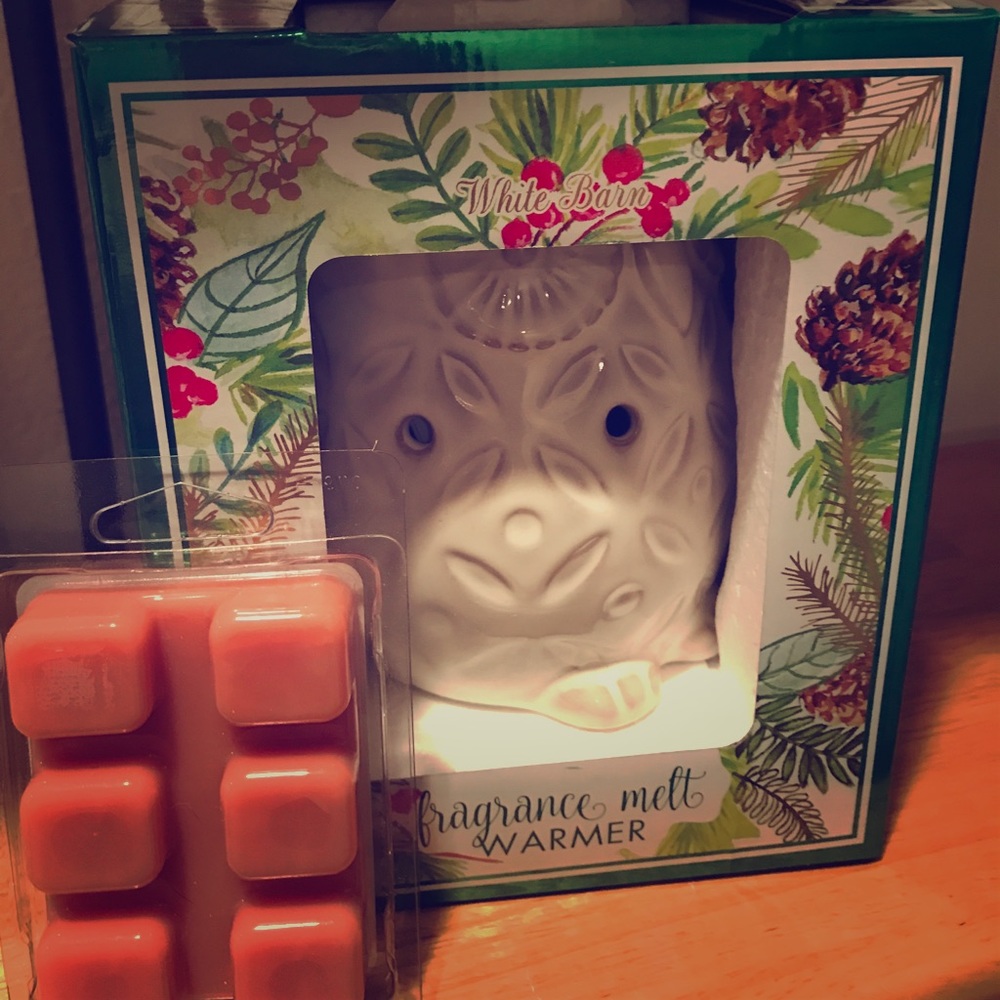 Fragrance melt warmer. (by white barn)