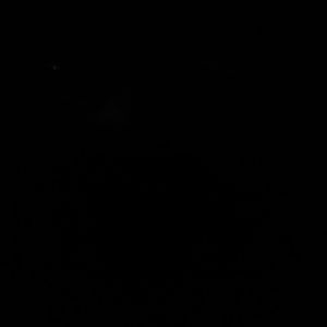 Meet your Posher, Venus