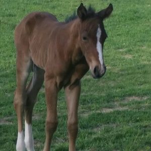 Meet your Posher, Cathie