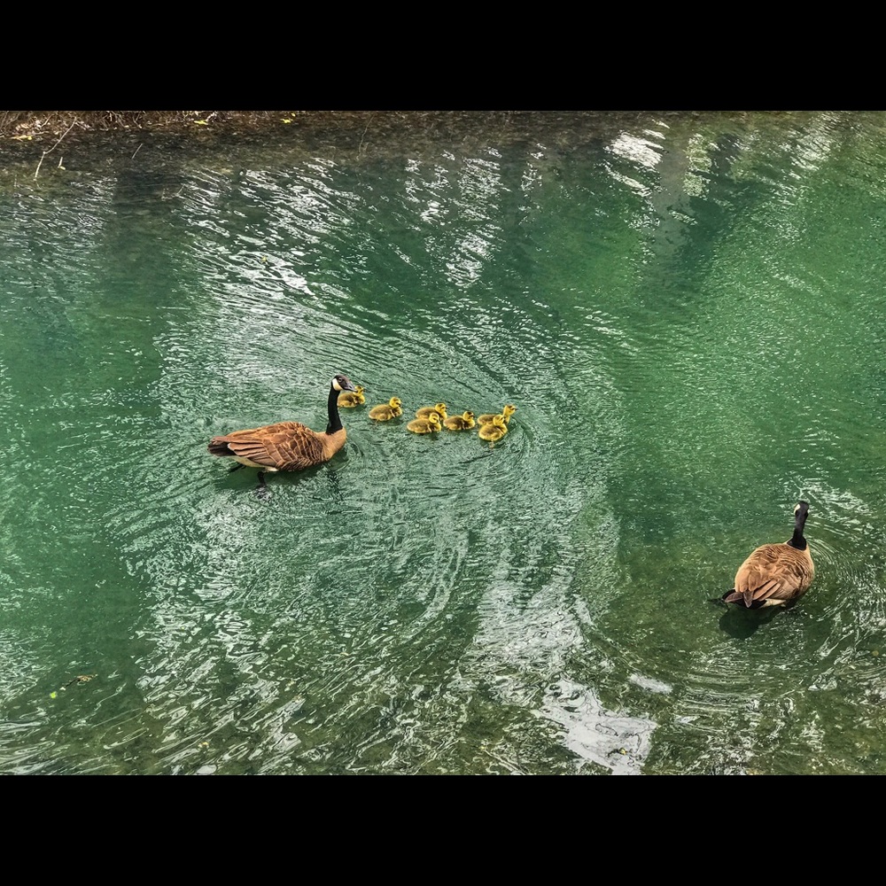 Meet your Posher, Tanya