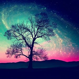 Meet your Posher, Lidia