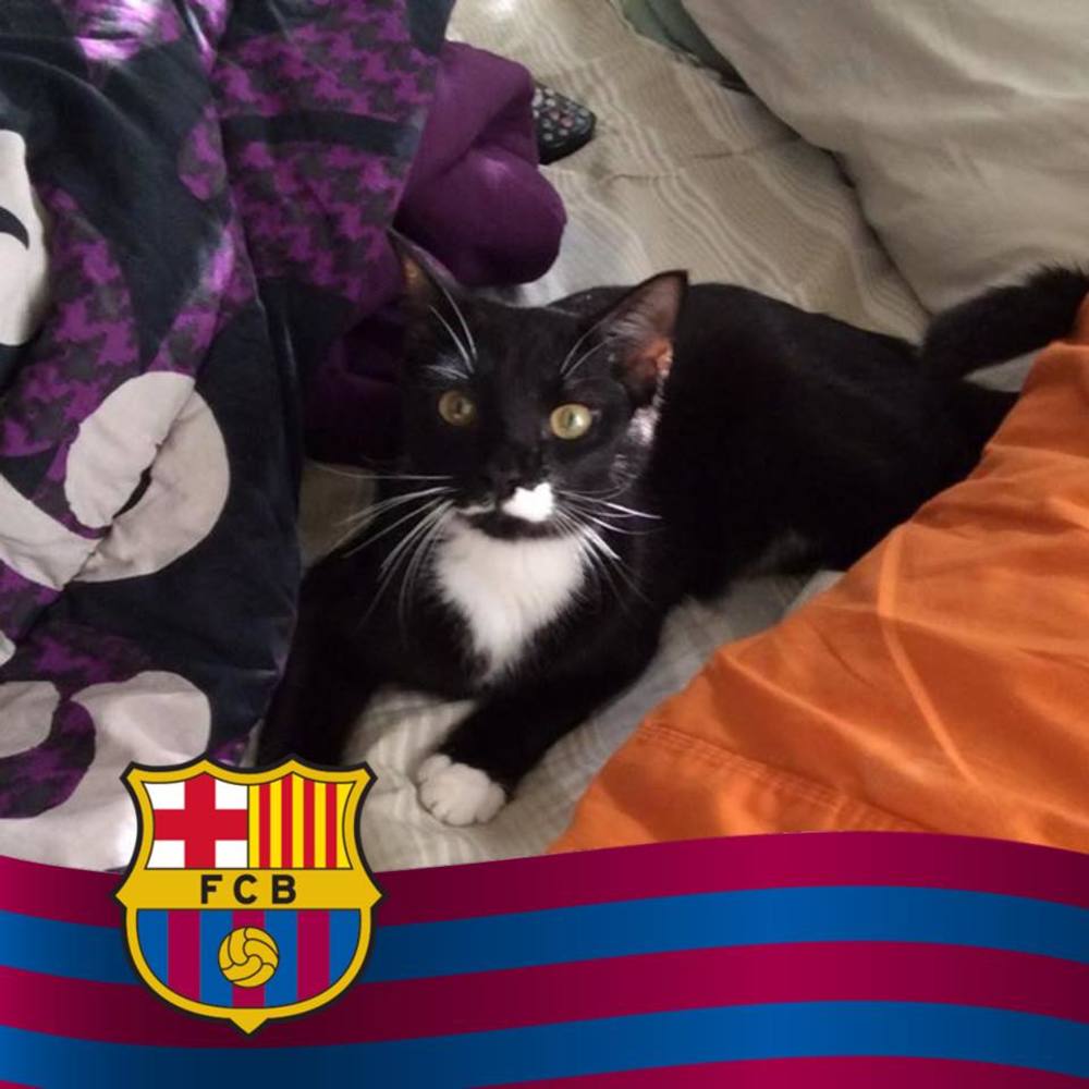 Meet your Posher, Anabel