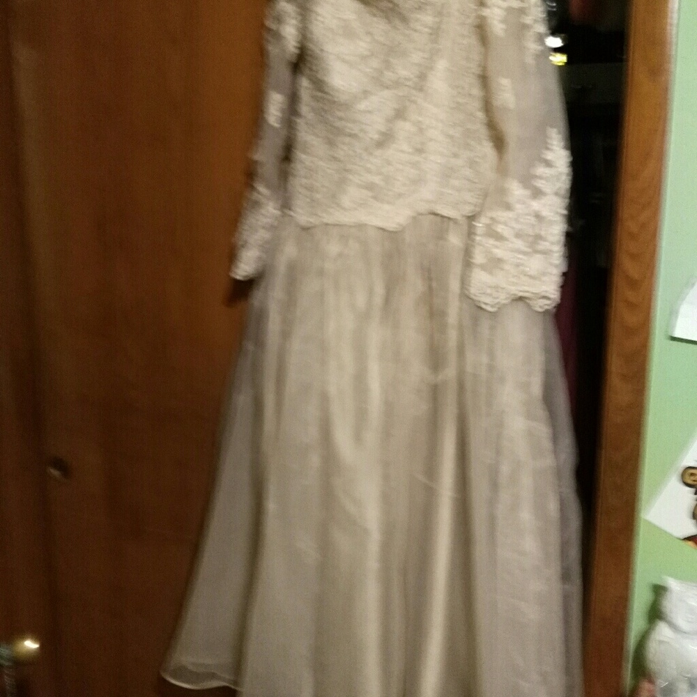 Champaign lace and toile plus size wedding dress