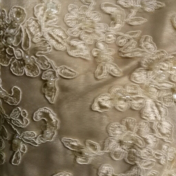 Champaign lace and toile plus size wedding dress - Picture 3 of 8