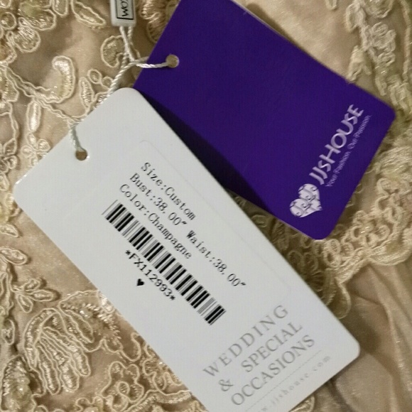 Champaign lace and toile plus size wedding dress - Picture 4 of 8