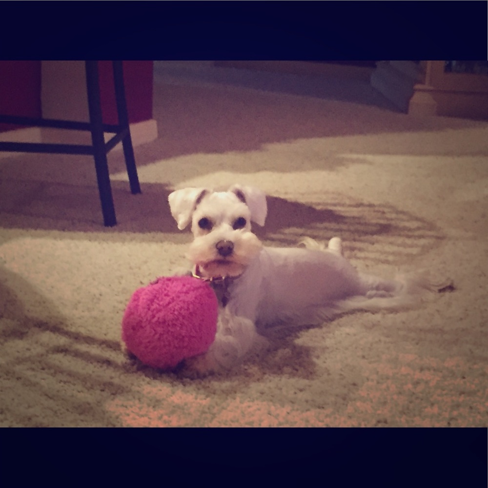 Meet your Posher, Ashley