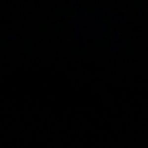 Meet your Posher, Tiona