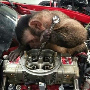 Meet your Posher, Julio