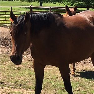 Meet your Posher, Sanna