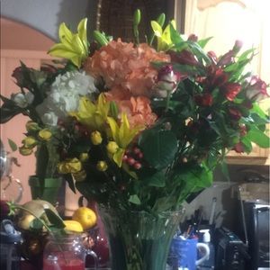 Meet your Posher, Elodia