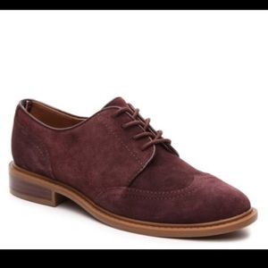 Tommy Hilfiger Jaynnie Oxford Wingtips!