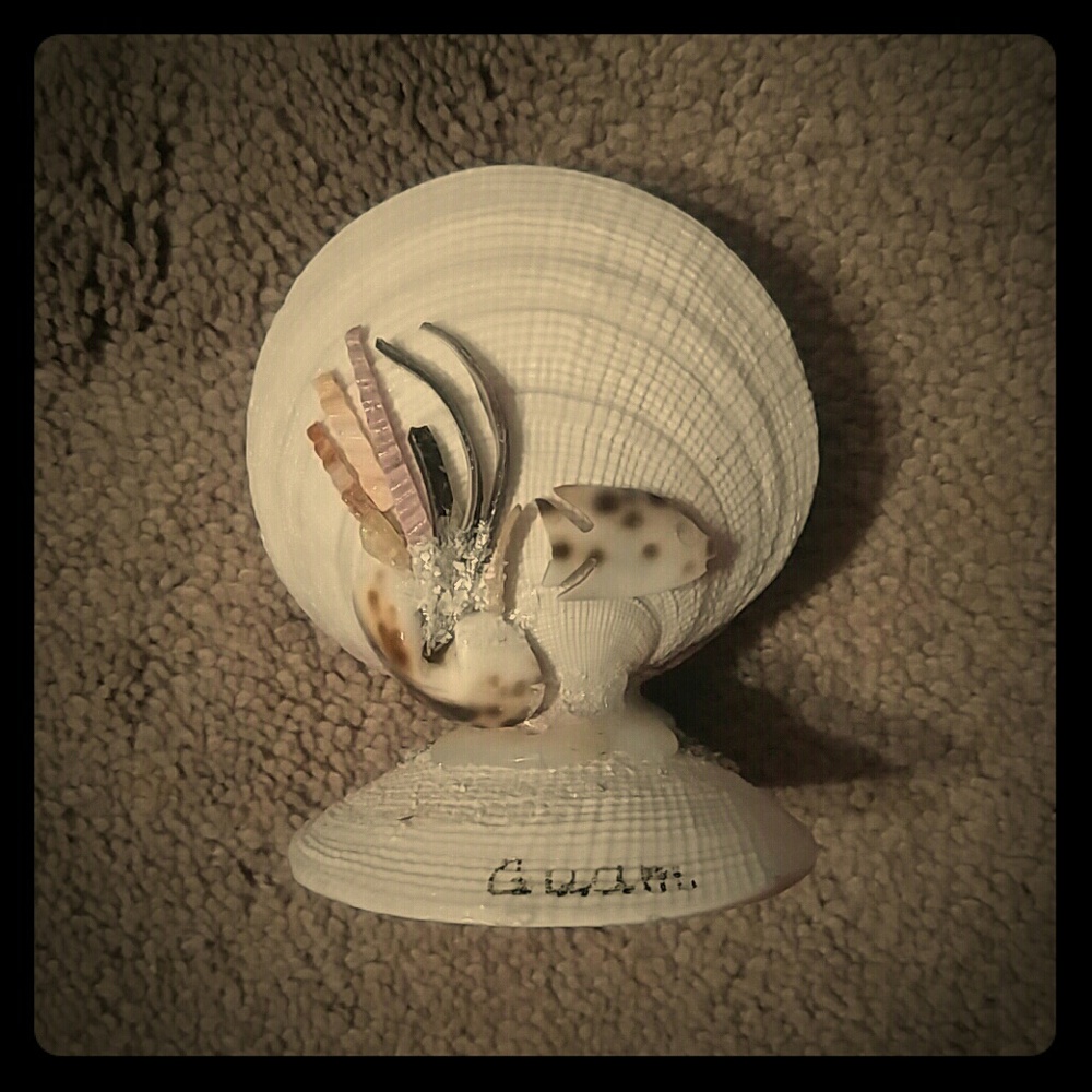 Guam Seashell Decoration