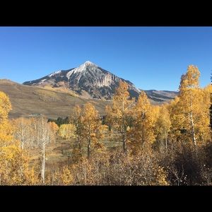 Meet your Posher, Becky