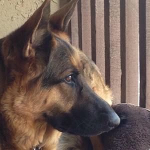 Meet your Posher, Karen