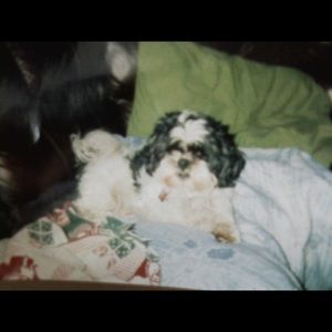 Meet your Posher, Krisrin