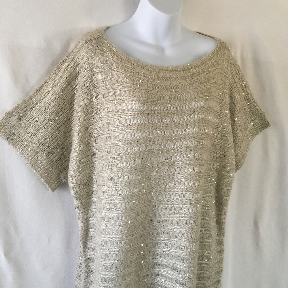 Willow & Clay sequined knit Dress