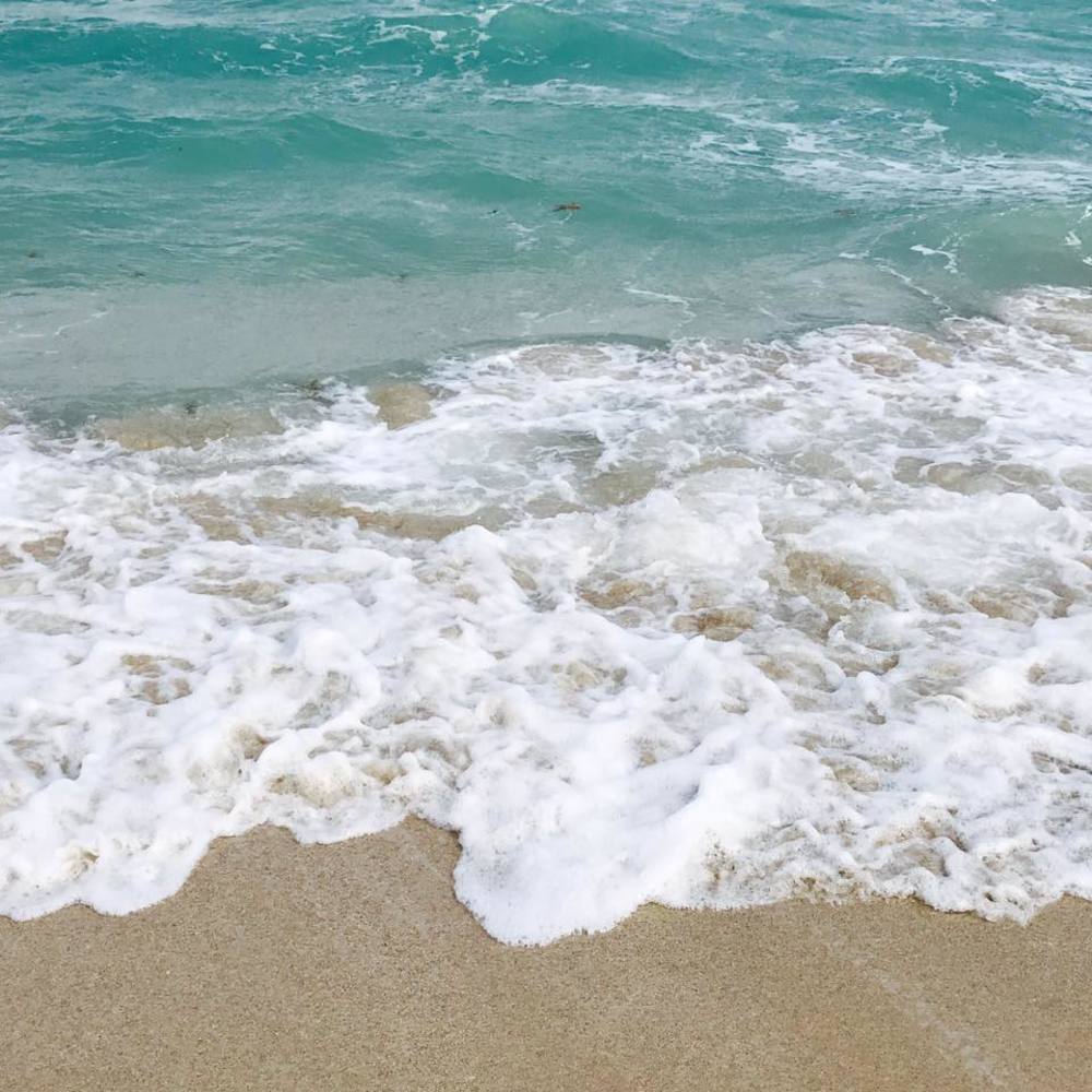 Meet your Posher, Jane