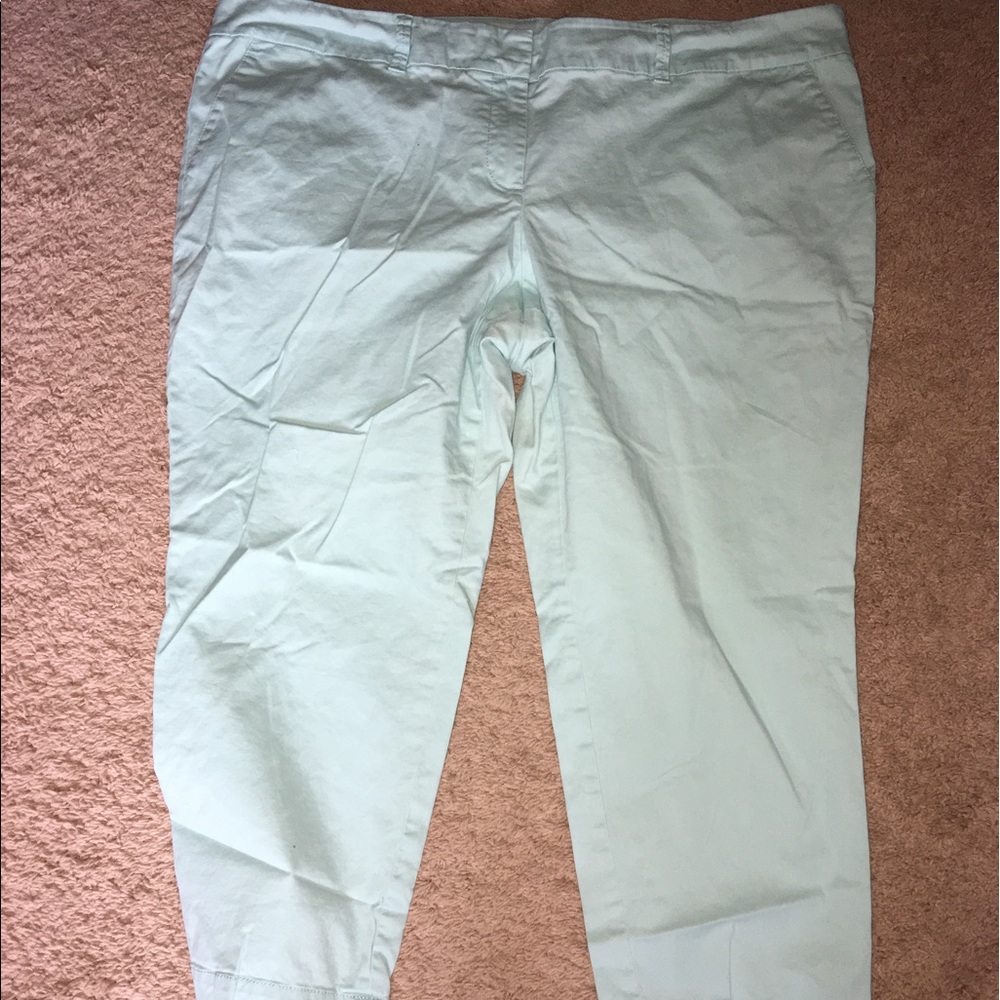 Talbots Ankle Pant 20w