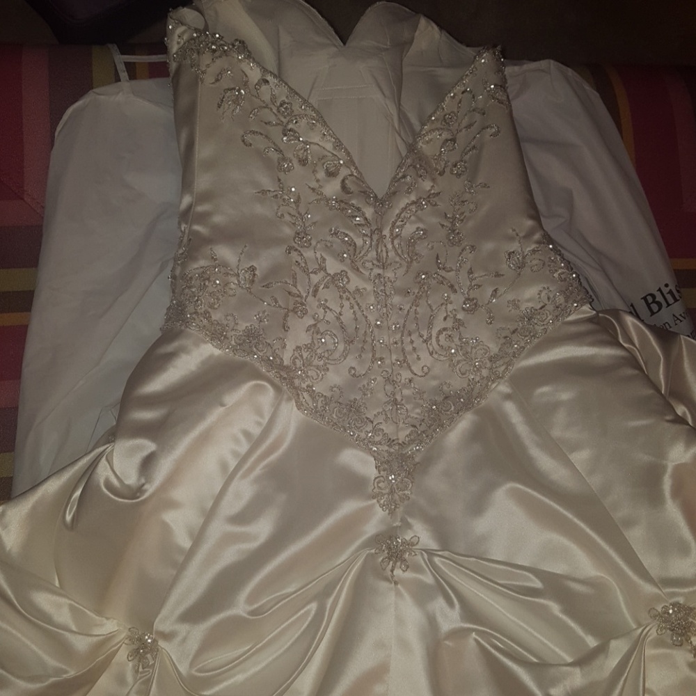 Beautiful Never Been Worn Wedding Dress - Picture 4 of 4