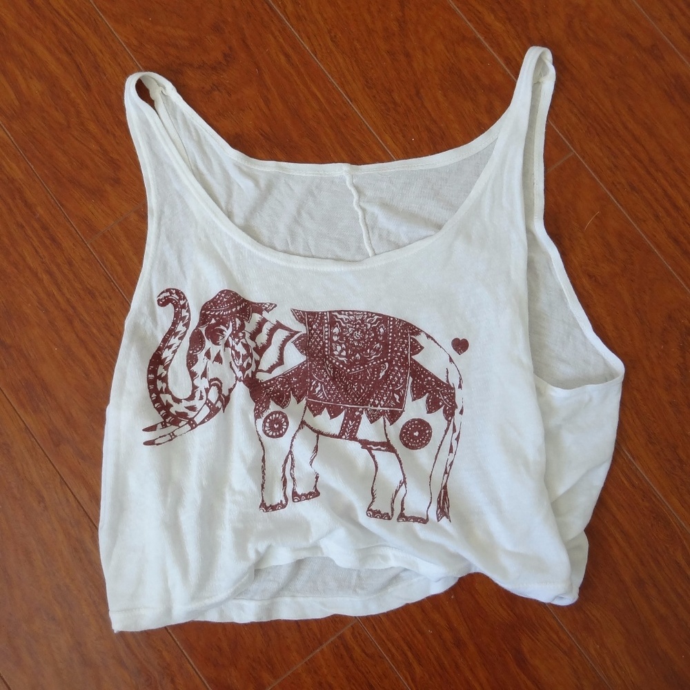 Brandy Melville 🐘 Crop Top