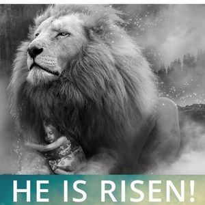 Meet your Posher, Tamara