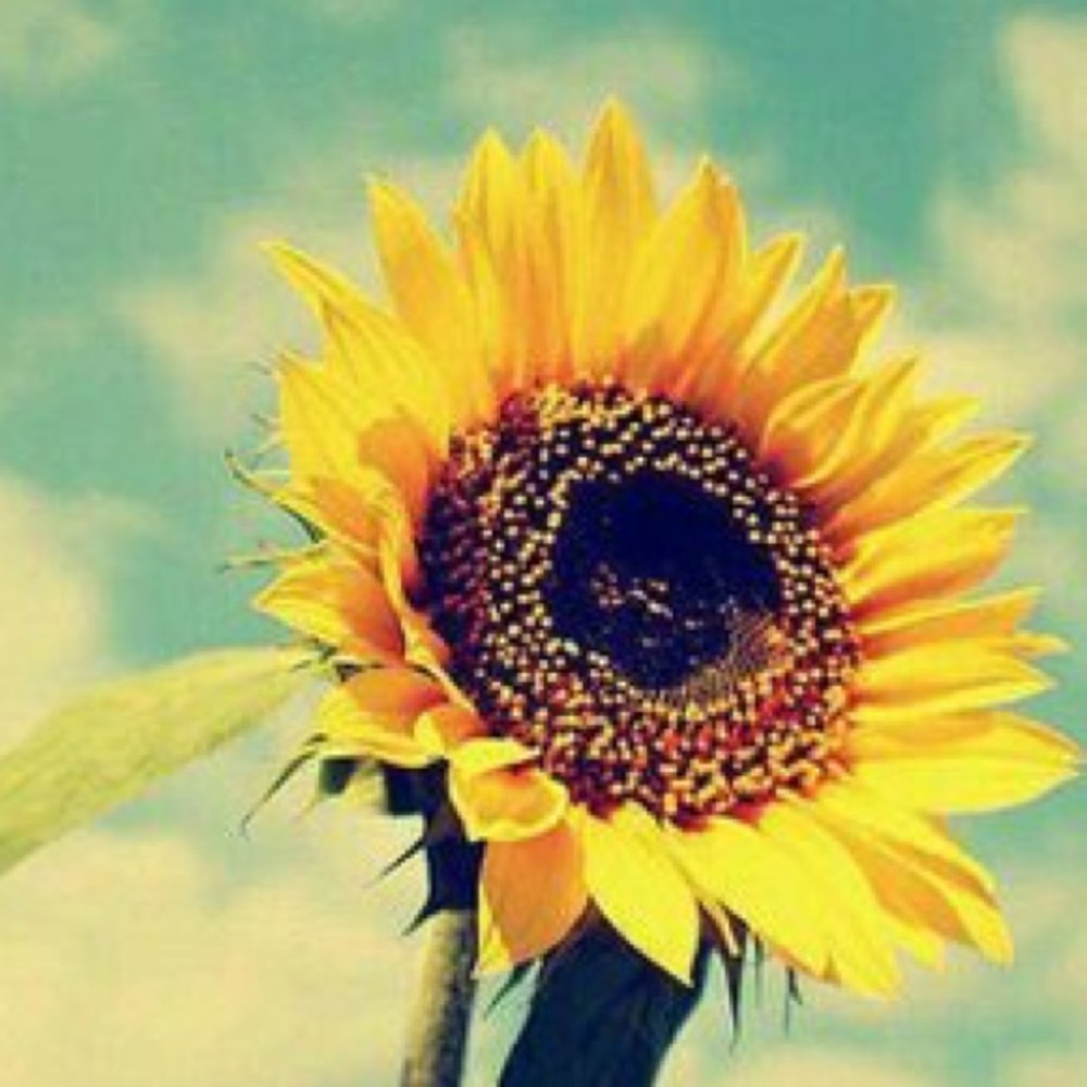 Meet your Posher, Jia