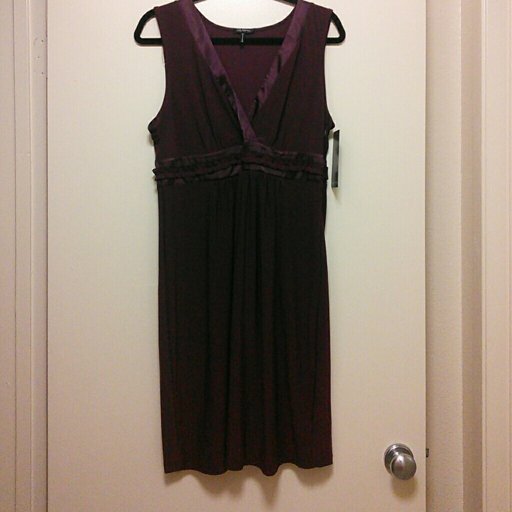 Daisy Fuentes plum dress. NWT
