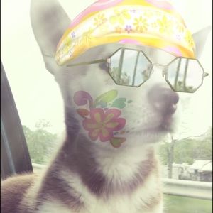 Meet your Posher, Emily