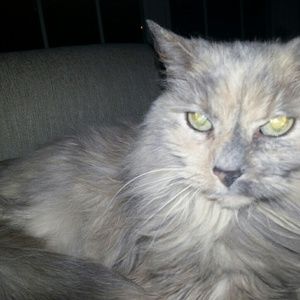 Meet your Posher, Sue