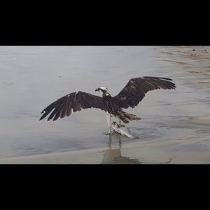 Meet your Posher, Nada