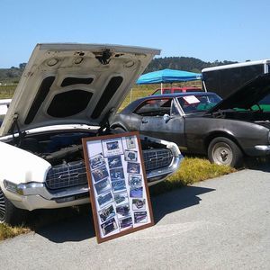 Meet your Posher, Madlen