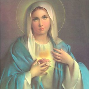 Meet your Posher, Elena