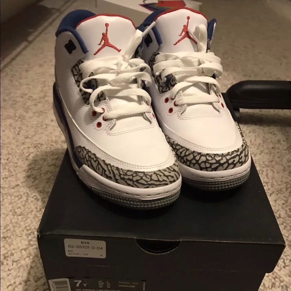 Retro 3s True Blues